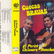 El Perico Chilenero Y El Baucha