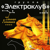 Тёмная лошадка