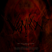 Mommy, There Is Someone In The Basement (Advance Digital Promo)