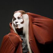 Fever Ray photo provided by Last.fm