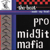 The Beat inside my head