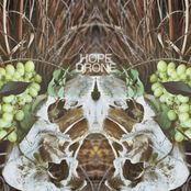 From Mimas To Phoebe