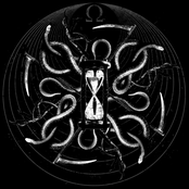 Con El Vientre Abierto El Fuego No Abrasa Tanto