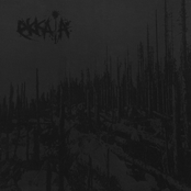 ¿Cuánt@s más moriremos hasta que estén satisfech@s?