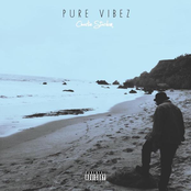 Pure Vibez