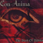The Book of Riddles