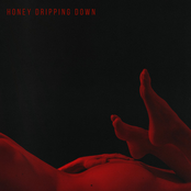 Honey Dripping Down