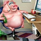 PORK ROAD