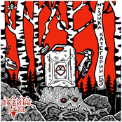 Музыка категории бэ