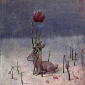 Flora. Fauna. Fervor.