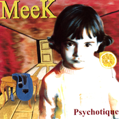 Psychotique by Meek