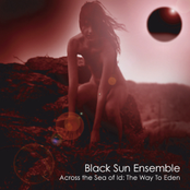 Evil Spirit by Black Sun Ensemble