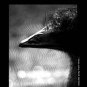 Decades away from home..