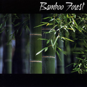 Breath by Bamboo Forest