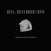 I Know A Place (brian robert jones remix) cover