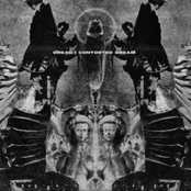 Contorted Dream