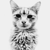 палю годноту: witch house