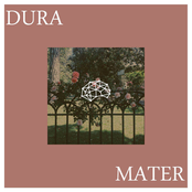 Dura Mater: Dura Mater