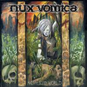 All The Clocks Have Different Times by Nux Vomica