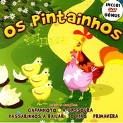 os pintainhos