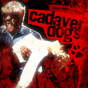 Cadaver Dogs