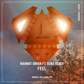 Feel (feat. Sena Sener)