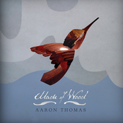 Why Would You Call Me by Aaron Thomas