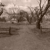 Wasted Holidays (Ashlands Mix)