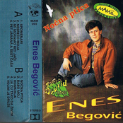 Noćna Ptica