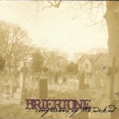 Confessions Of The Wicked