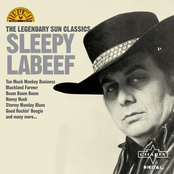 Roll Over Beethoven by Sleepy Labeef