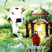 Festa da Natureza
