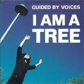 Do They Teach You The Chase? by Guided By Voices