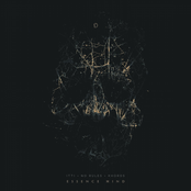 Essence Mind / Sparkler