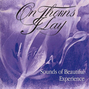 sounds of beautiful experience