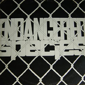Endangered Music...
