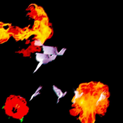 30 K DIAMOND$ AND TEAR$