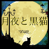 月夜の黒猫