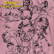 Together Pangea: Living Dummy