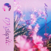 The Damiáncord Megasplit