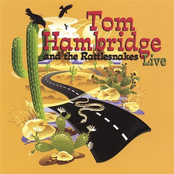 Tom Hambridge And The Rattlesnakes: Live