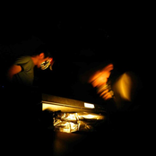 Live at ZOOMIN' NIGHT