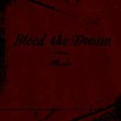 Solace by Bleed The Dream