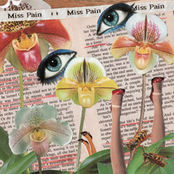 Shelf-Location ROM / Kiss Cuddle Torture - EP