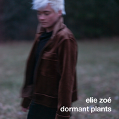 dormant plants