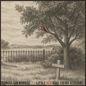 Little Red Bird (Session Version)