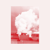 Bathed In Light And Rapture