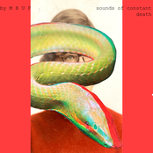 SOUNDS OF CONSTANT DEATH