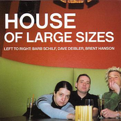 Sudden Adult Death Syndrome by House Of Large Sizes