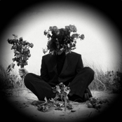 This Is How I Sleep At Night